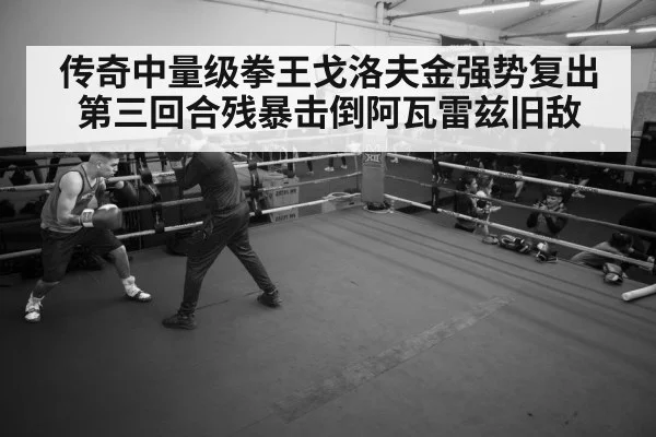 传奇中量级拳王戈洛夫金强势复出第三回合残暴击倒阿瓦雷兹旧敌